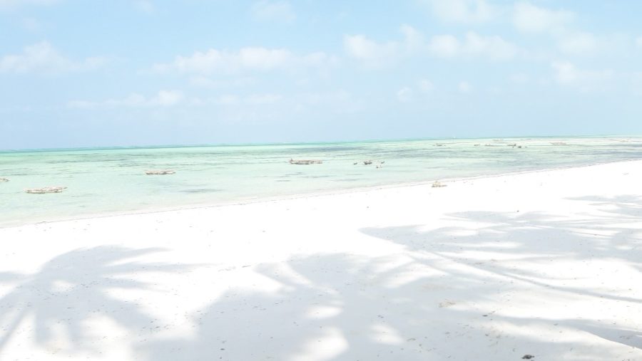 spiaggia Jambiani