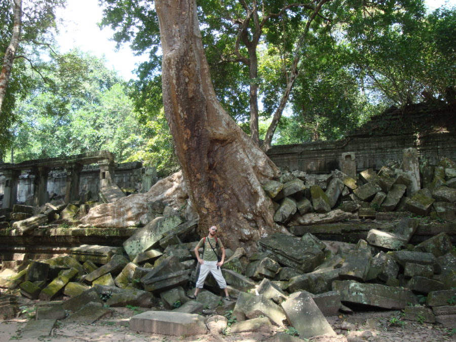albero al ingresso al Beng Mealea