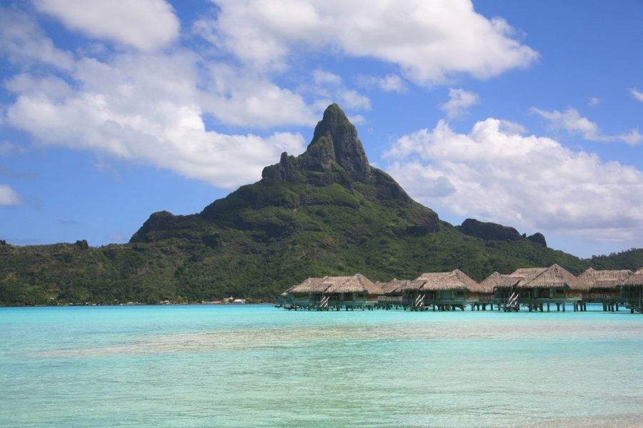 Isole delle società